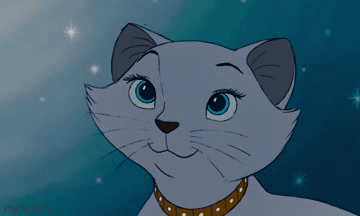 A Close Up Of A Cartoon Cat With A Brown Collar GIF