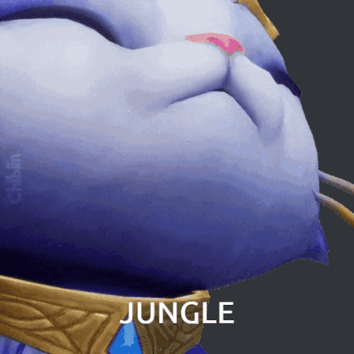 A Close Up Of A Cartoon Character 'S Face With The Word Jungle Below It GIF