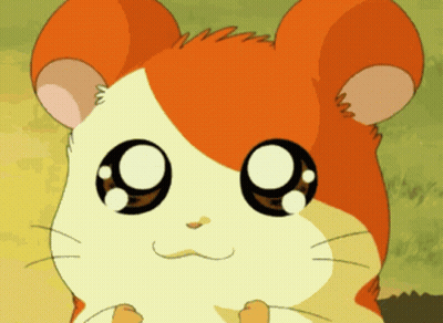 A Close Up Of A Cartoon Hamster With Big Black Eyes GIF