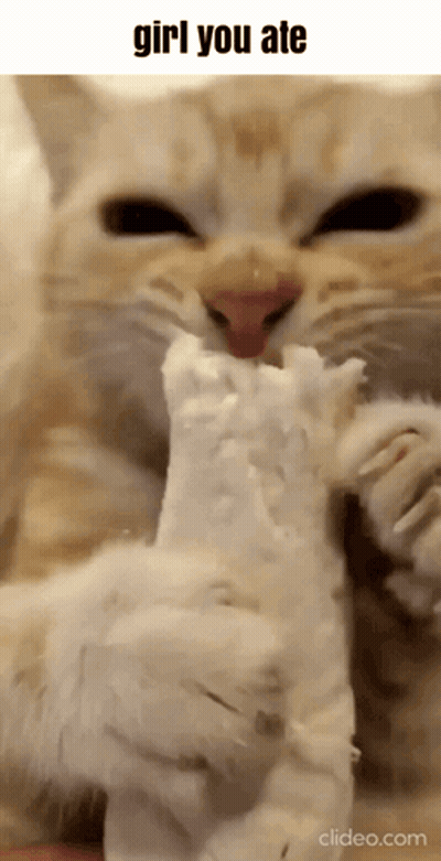 A Close Up Of A Cat Eating A Piece Of Tissue Paper GIF