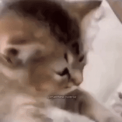 a close up of a cat laying on a bed with a person .