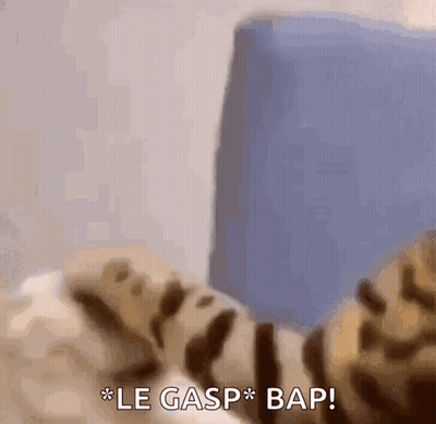A Close Up Of A Cat Laying On A Bed With The Words Le Gasp Bap Written Below It . GIF