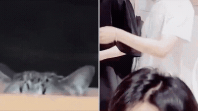 A Close Up Of A Cat Laying On A Table Next To A Woman GIF