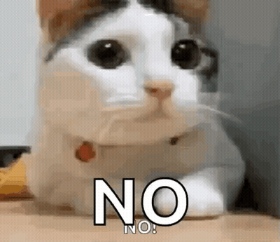 A Close Up Of A Cat Laying On A Table With The Words `` No '' Written On It . GIF