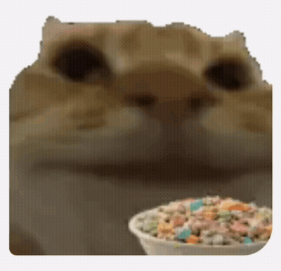 A Close Up Of A Cat Looking At A Bowl Of Marshmallows GIF