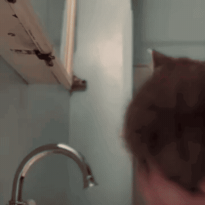 A Close Up Of A Cat Looking At A Sink GIF
