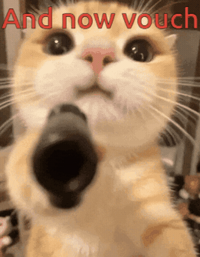A Close Up Of A Cat Pointing A Gun With The Words And Now Vouch Behind It GIF