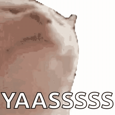A Close Up Of A Cat 'S Butt With The Words Yaassss Written In White Letters . GIF