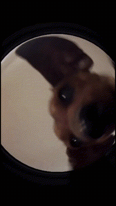 A Close Up Of A Cat 'S Eye Through A Magnifying Glass GIF
