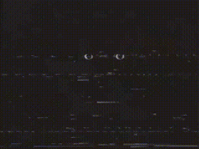 A Close Up Of A Cat 'S Eyes Looking At The Camera On A Black Background . GIF