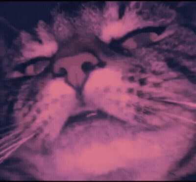 A Close Up Of A Cat 'S Face In A Pink And Blue Painting GIF