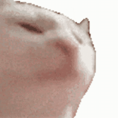 A Close Up Of A Cat 'S Face On A White Background . GIF