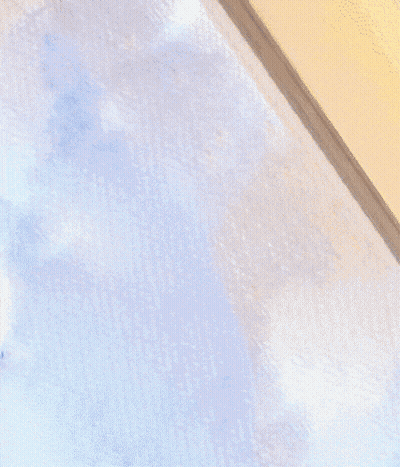 A Close Up Of A Cat 'S Face With A Blurry Background GIF