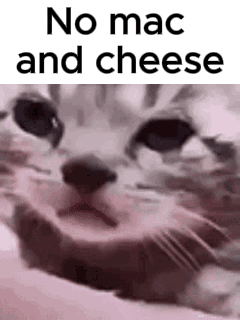 A Close Up Of A Cat 'S Face With A Caption That Says `` No Mac And Cheese '' . GIF