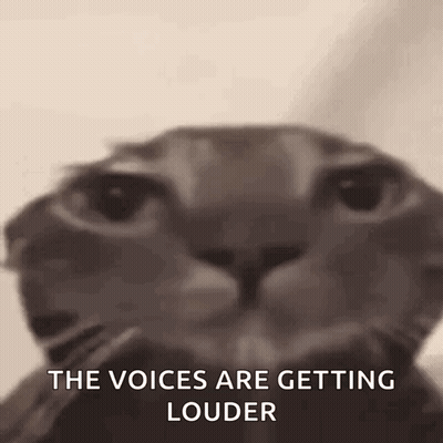 A Close Up Of A Cat 'S Face With A Caption That Says `` The Voices Are Getting Louder '' . GIF