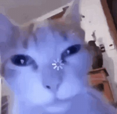 A Close Up Of A Cat 'S Face With A Loading Screen On Its Eyes . GIF
