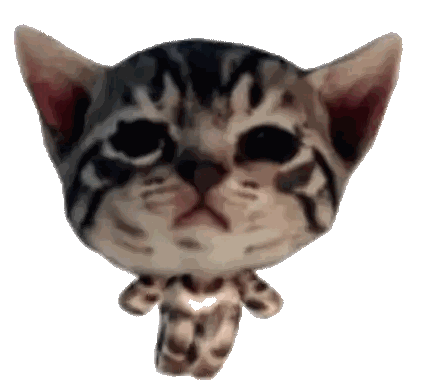 A Close Up Of A Cat 'S Face With A Necklace Around Its Neck Sticker