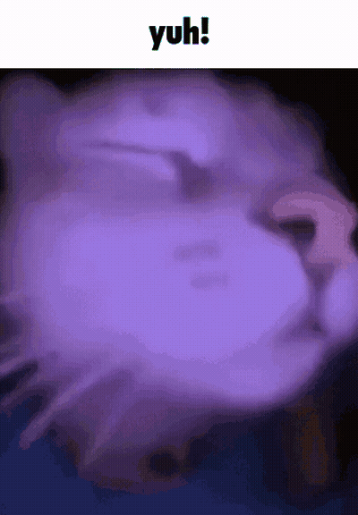 A Close Up Of A Cat 'S Face With A Purple Background And The Words Yuh Written Above It . GIF
