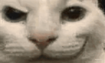 A Close Up Of A Cat 'S Face With A Smiley Face . GIF