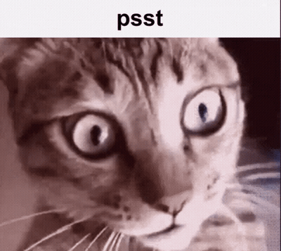 A Close Up Of A Cat 'S Face With Big Eyes And The Words `` Psst '' On The Bottom . GIF