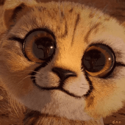 A Close Up Of A Cat 'S Face With Big Eyes GIF