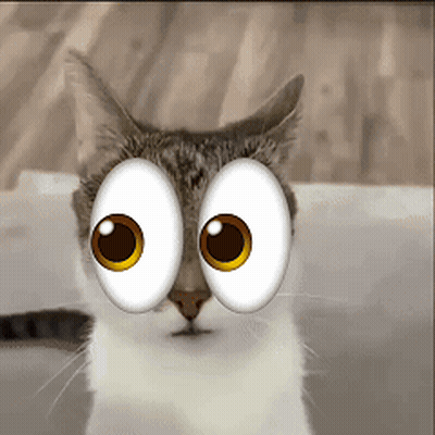 A Close Up Of A Cat 'S Face With Big Googly Eyes GIF