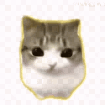 A Close Up Of A Cat 'S Face With Blush On Its Cheeks . GIF