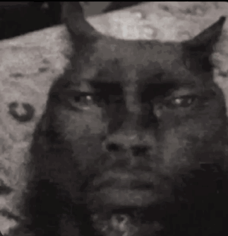 A Close Up Of A Cat 'S Face With Its Eyes Closed GIF