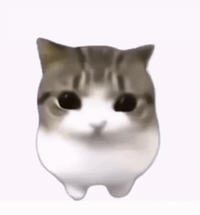 A Close Up Of A Cat 'S Face With Its Eyes Closed And A Pink Cheek . GIF
