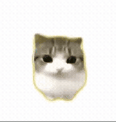 A Close Up Of A Cat 'S Face With Its Eyes Closed And A Pink Cheek . GIF