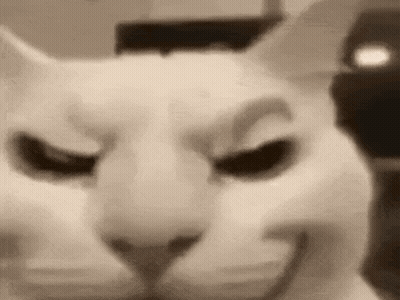 A Close Up Of A Cat 'S Face With Its Eyes Closed And A Smile On Its Face . GIF