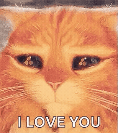 A Close Up Of A Cat 'S Face With Its Eyes Closed And The Words `` I Love You '' . GIF