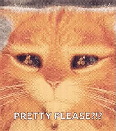 A Close Up Of A Cat 'S Face With Its Eyes Closed And The Words `` Pretty Please ? '' GIF