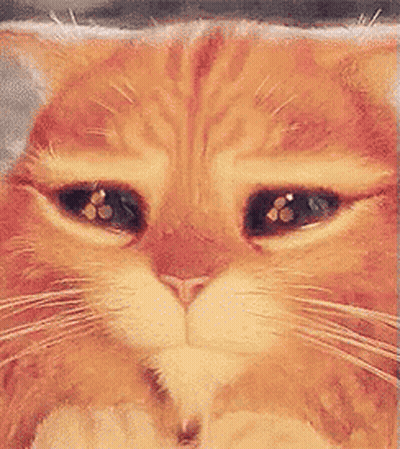 A Close Up Of A Cat 'S Face With Its Eyes Closed GIF
