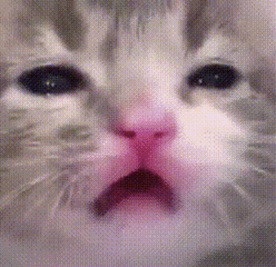 A Close Up Of A Cat 'S Face With Its Mouth Open And A Pink Nose . GIF