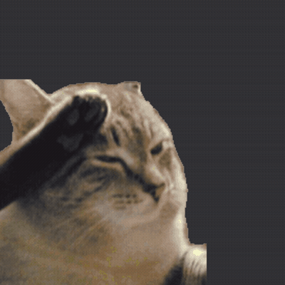 A Close Up Of A Cat 'S Face With Its Paw On Its Face GIF