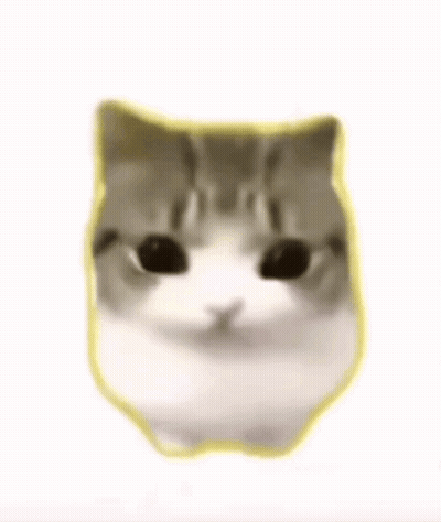 A Close Up Of A Cat 'S Face With Pink Cheeks And A Yellow Outline . GIF