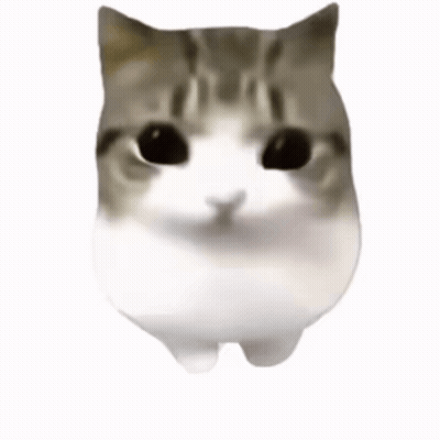 A Close Up Of A Cat 'S Face With Pink Cheeks GIF