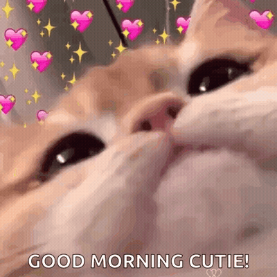 a close up of a cat 's face with pink hearts on it .