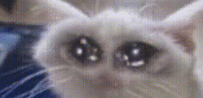 A Close Up Of A Cat 'S Face With Sad Eyes Looking At The Camera . GIF