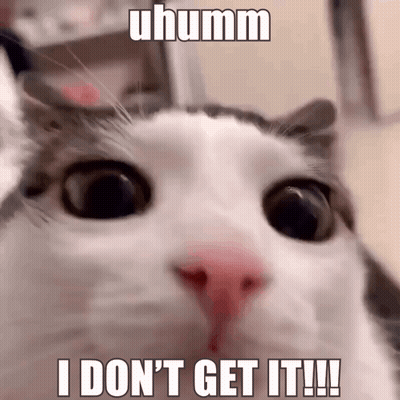 A Close Up Of A Cat 'S Face With The Caption I Don 'T Get It !! GIF