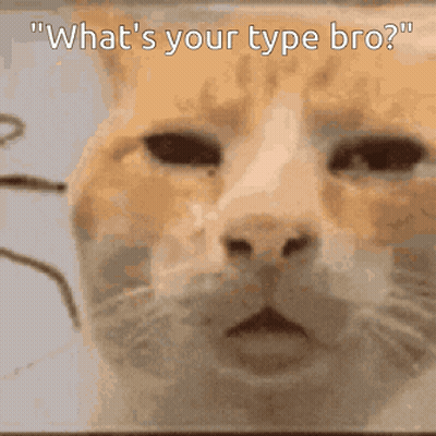 A Close Up Of A Cat 'S Face With The Caption " What 'S Your Type Bro ? " GIF