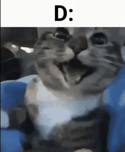 A Close Up Of A Cat 'S Face With The Letters D Above It GIF