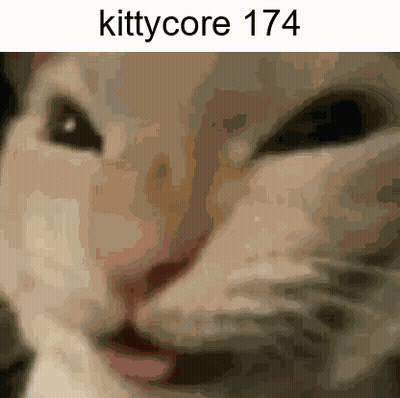 A Close Up Of A Cat 'S Face With The Text Kittycore 174 GIF