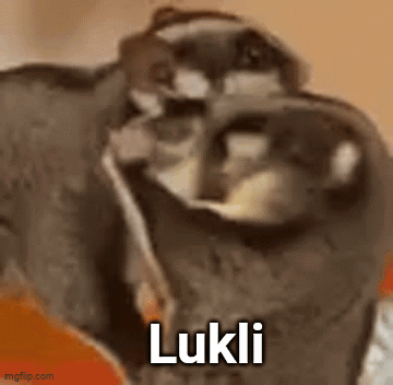 A Close Up Of A Cat 'S Face With The Word Lukli Written On It . GIF