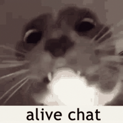 A Close Up Of A Cat 'S Face With The Words `` Alive Chat '' Written On It . GIF