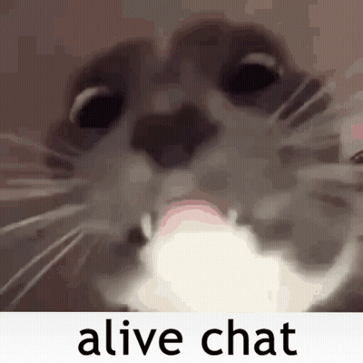 A Close Up Of A Cat 'S Face With The Words `` Alive Chat '' Written On The Bottom . GIF