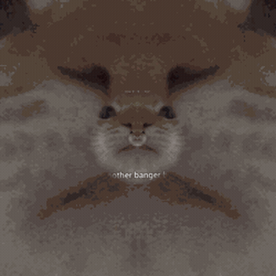 A Close Up Of A Cat 'S Face With The Words " Another Banger " Below It GIF