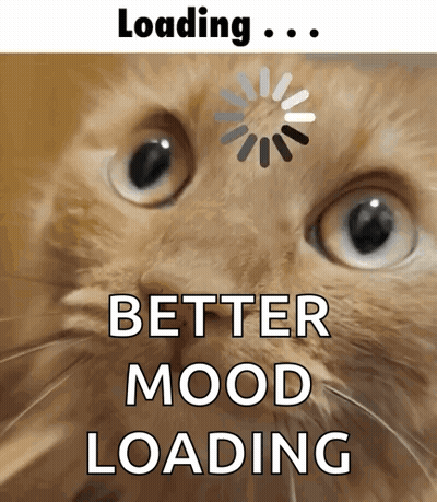 a close up of a cat 's face with the words " better mood loading " below it