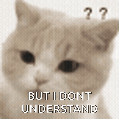 A Close Up Of A Cat 'S Face With The Words `` But I Dont Understand '' Above It . GIF